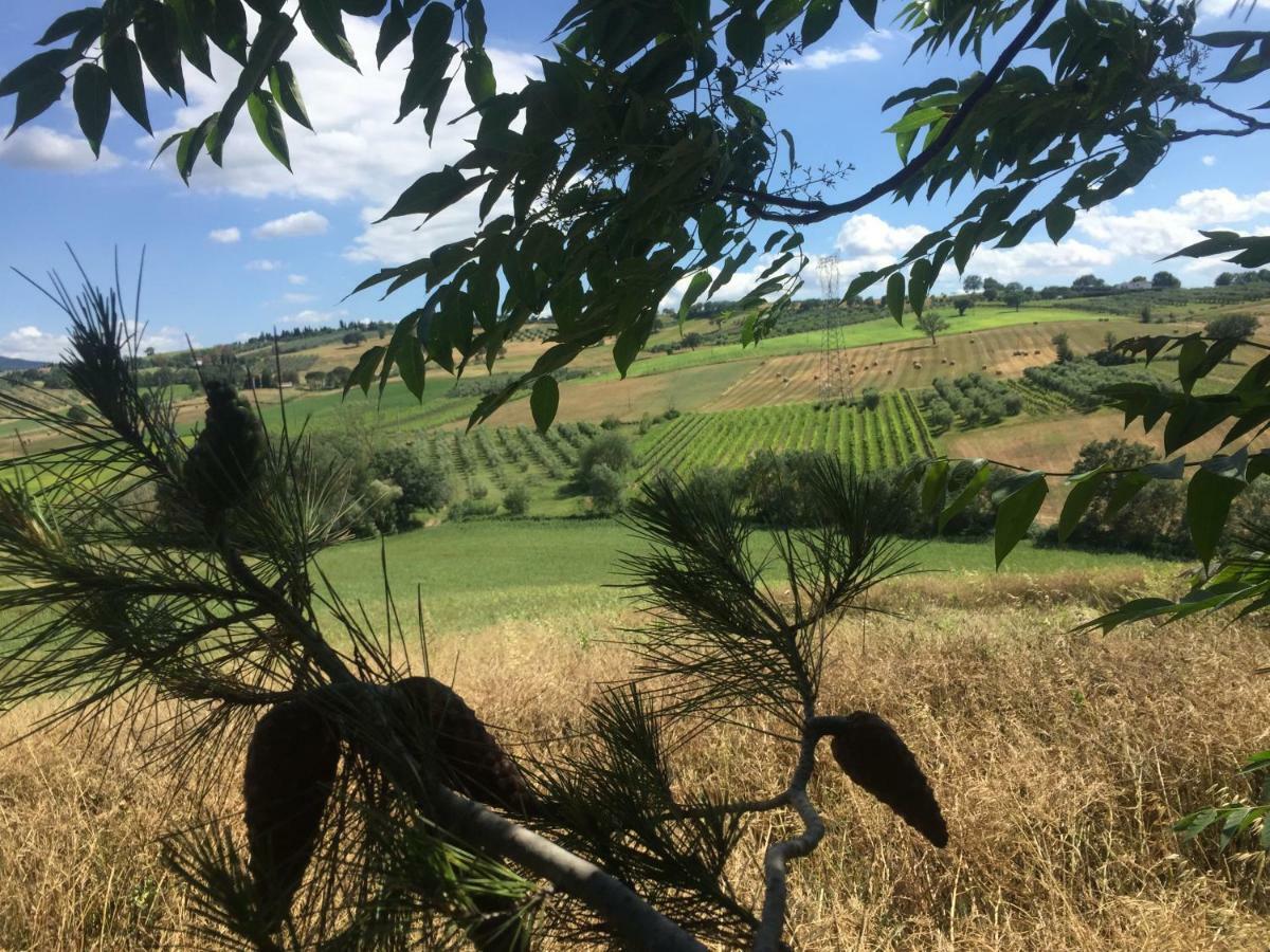Poggio Alla Pietra 26 Porrona Dış mekan fotoğraf