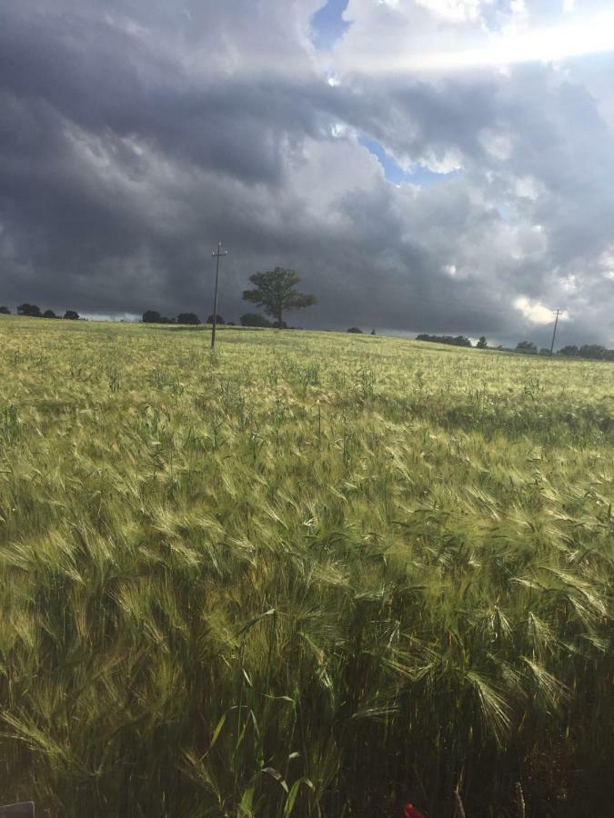 Poggio Alla Pietra 26 Porrona Dış mekan fotoğraf