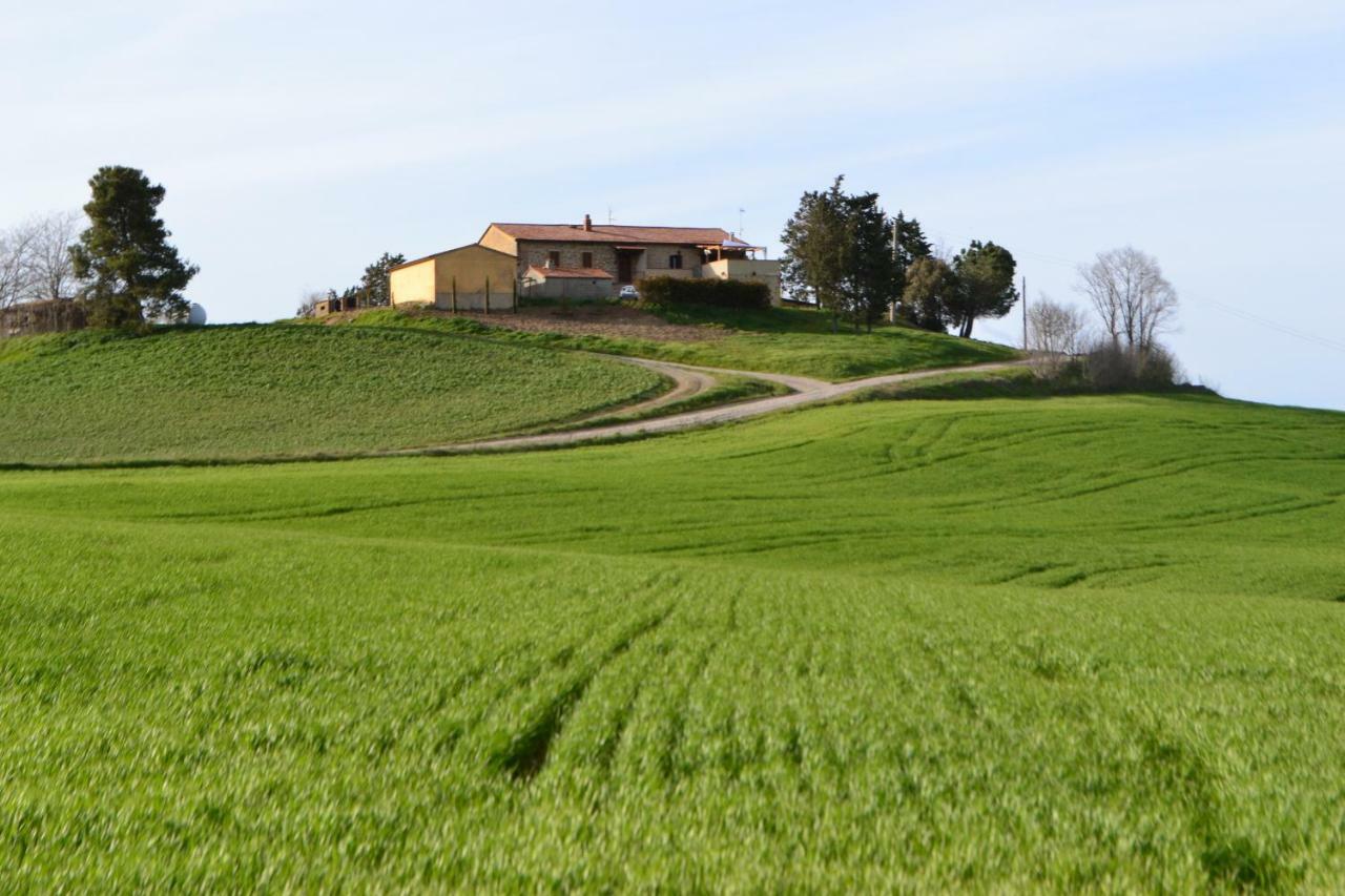 Poggio Alla Pietra 26 Porrona Dış mekan fotoğraf